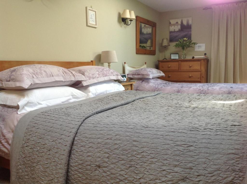 Motts Bed & Breakfast (Great Dunmow) 
