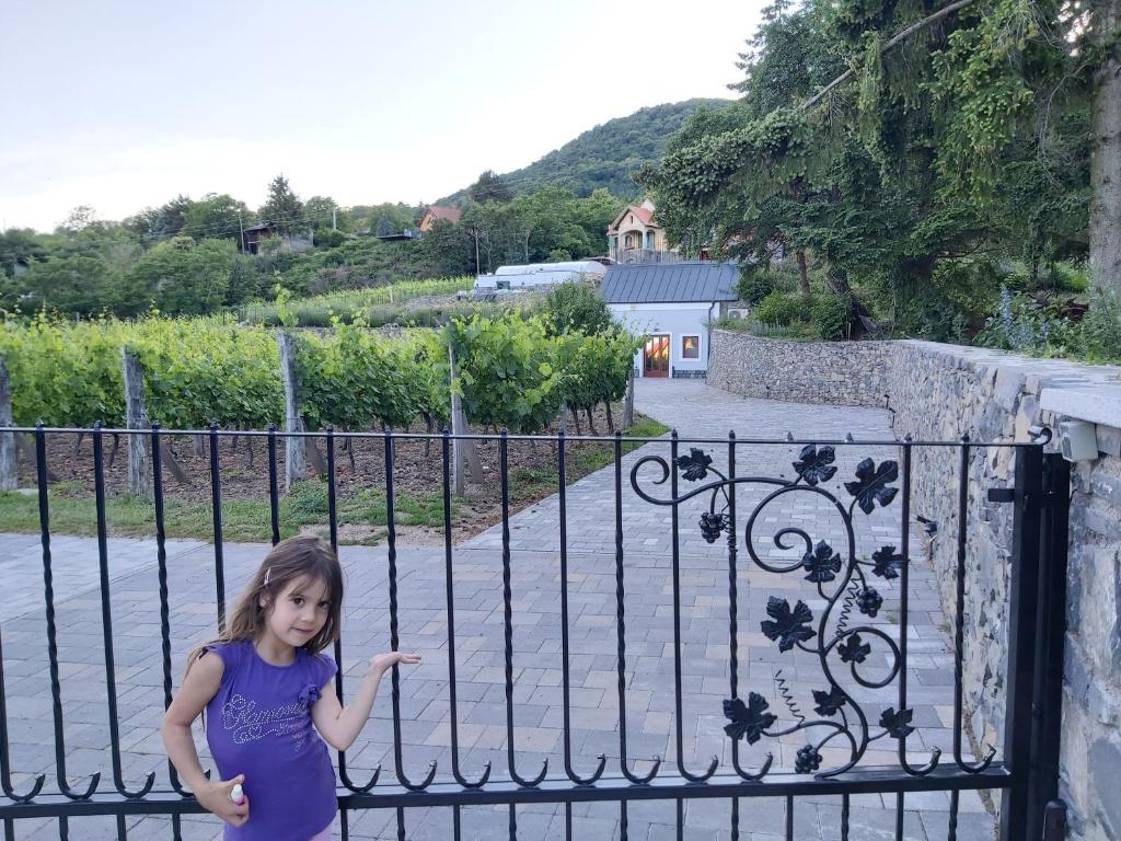 Villő Villa (Badacsonytomaj) 