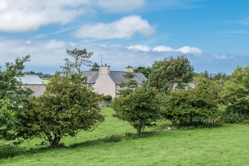 Tyn Llain B&B (Llanfflewyn) 
